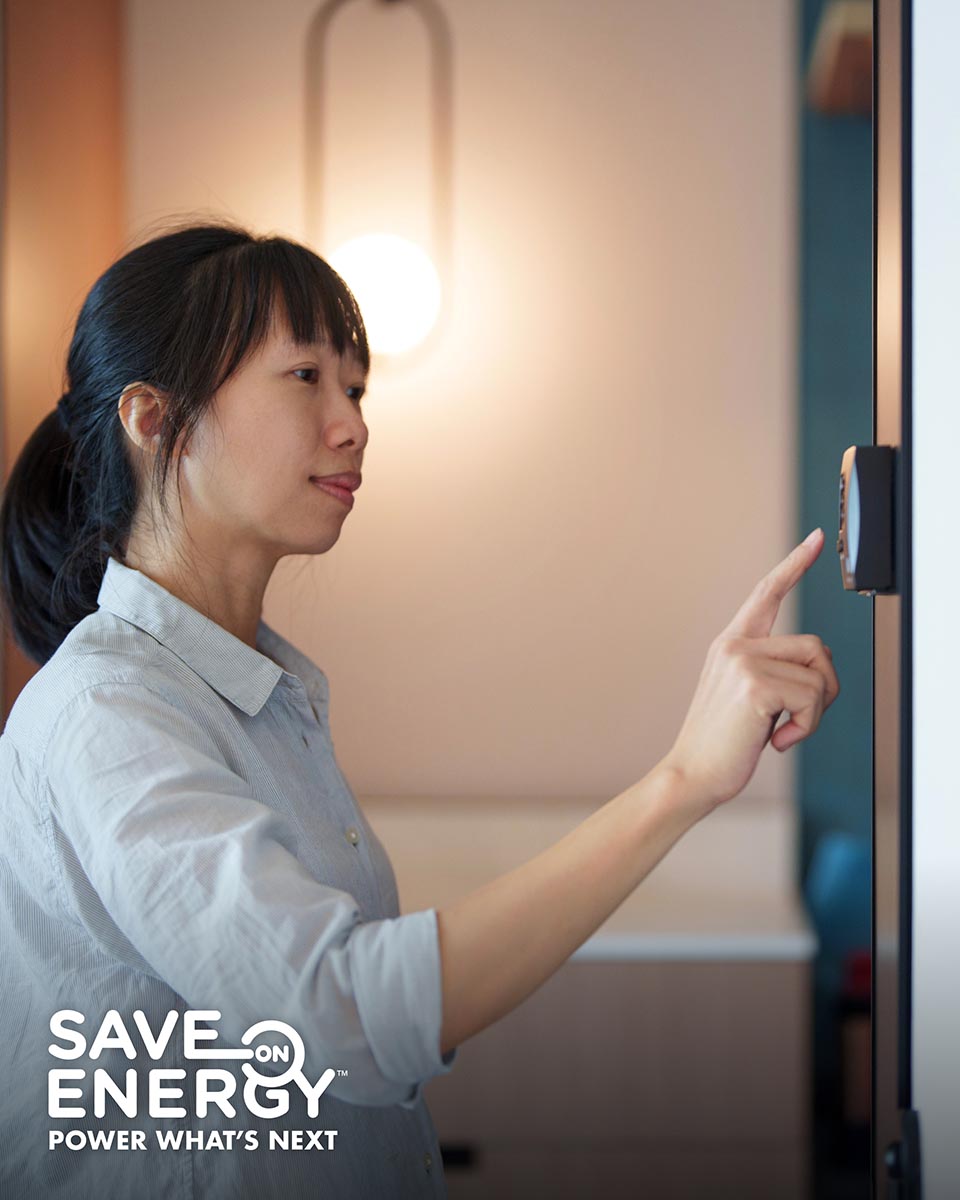 IESO364_Residential_Search_PeakPerks_960x1200_07